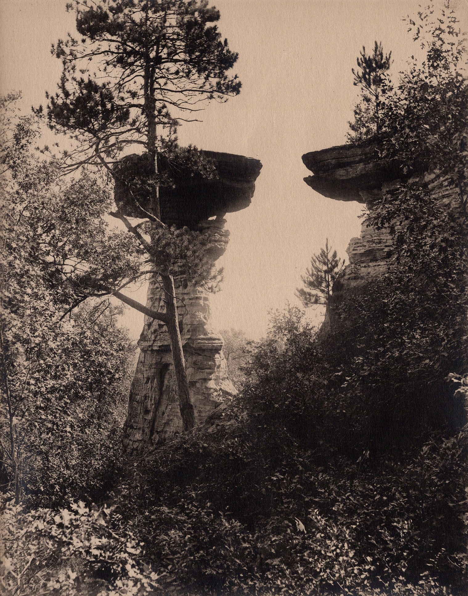 Henry Hamilton Bennett (American, 1843 - 1908) (1 of 4)