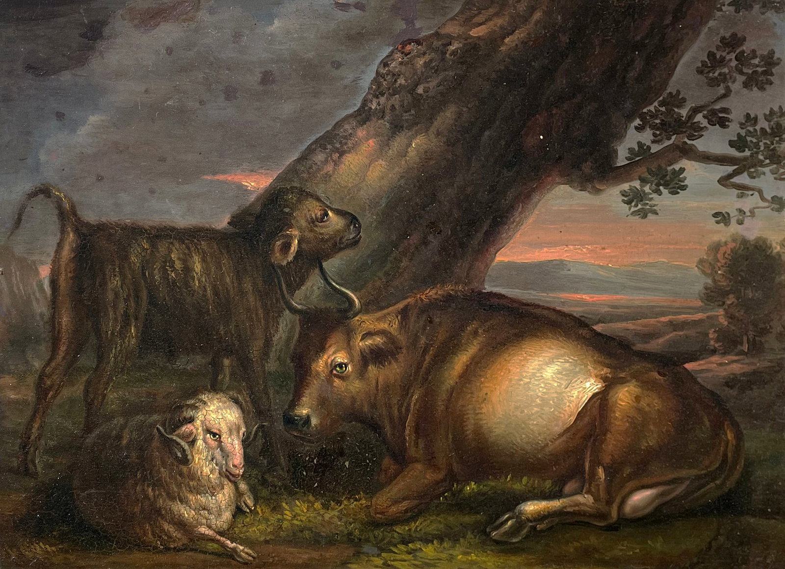 Unknown (American?) Artist: "Bovine and Sheep Under Tree"; 19th Century; Oil on Tin; 9.75" x 14"; Signed on Verso (Illegibly); Framed.