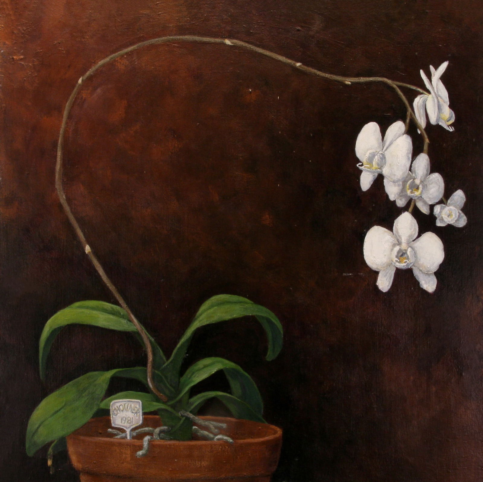 Unknown Artist: "In a Florist's Window"; 1981; Oil on Board; 24" x 24"; Signed "Chotiner" Lower Left; Unframed.