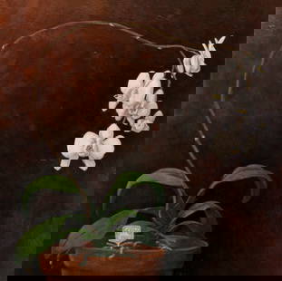 Unknown Artist: "In a Florist's Window"; 1981; Oil on Board; 24" x 24"; Signed "Chotiner" Lower Left; Unframed.
