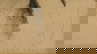 item-207429091=3