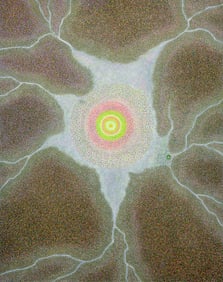 Elaine Wesley (American, 1923 - 2007)