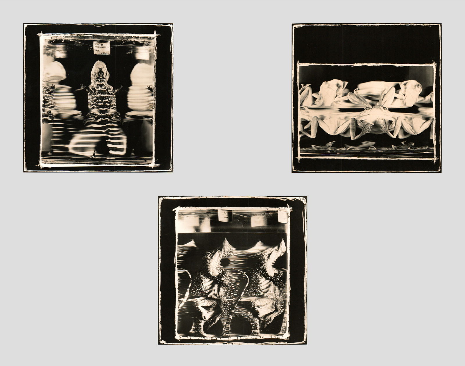 Patrick Bailly-Maître-Grand (French, b. 1945) (1 of 7)