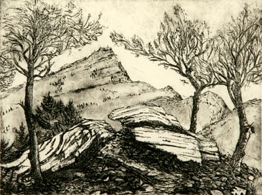 Mary James (American, b. 1959)