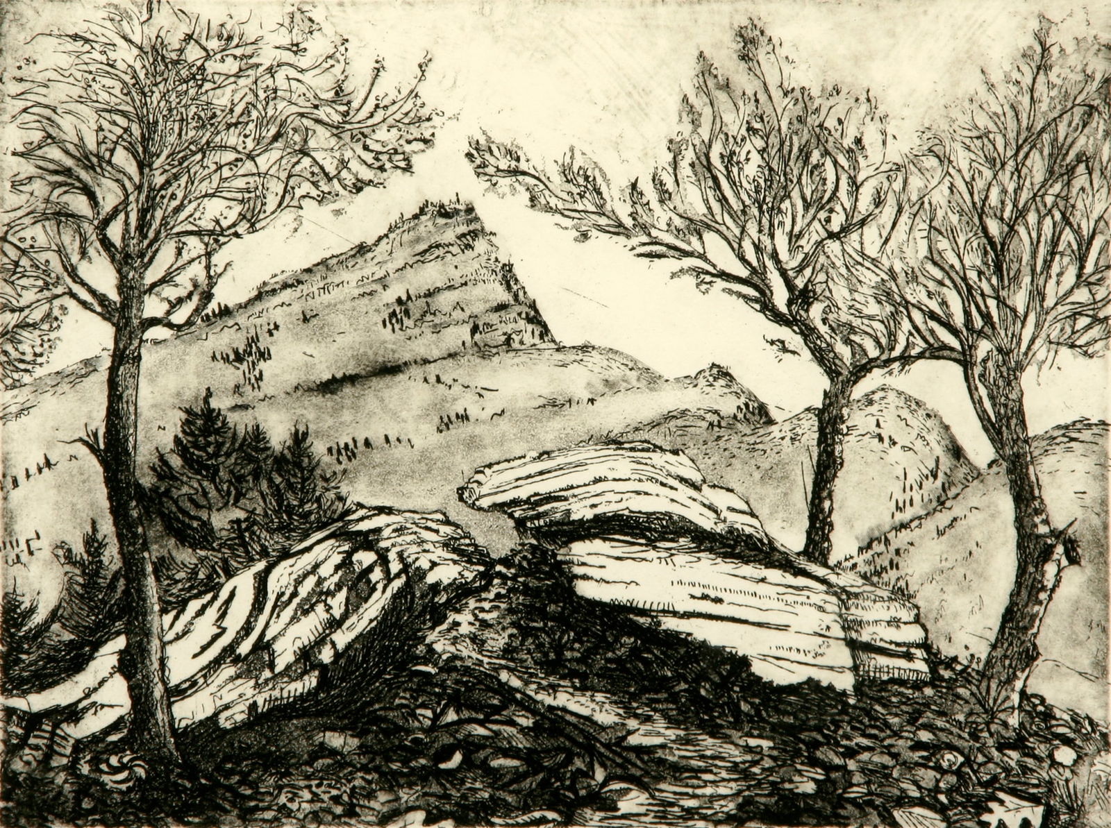 Mary James (American, b. 1959) (1 of 4)