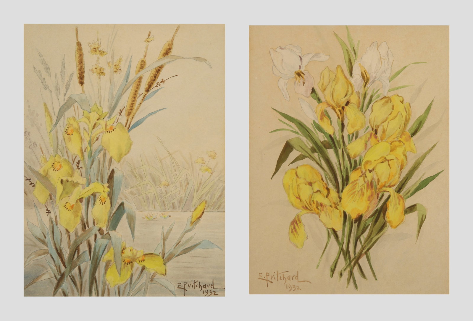 Edward Pritchard (Welsh-American, 1864 - d. ?): LOT OF TWO: A. "Irises and Cattails"; 1932; Watercolor on Paper; 11.75" x 8.75"; Signed "E. Pritchard" Lower Left; Framed (under glass) / B. "White and Yellow Irises"; 1932; Watercolor on Paper; 11.5"