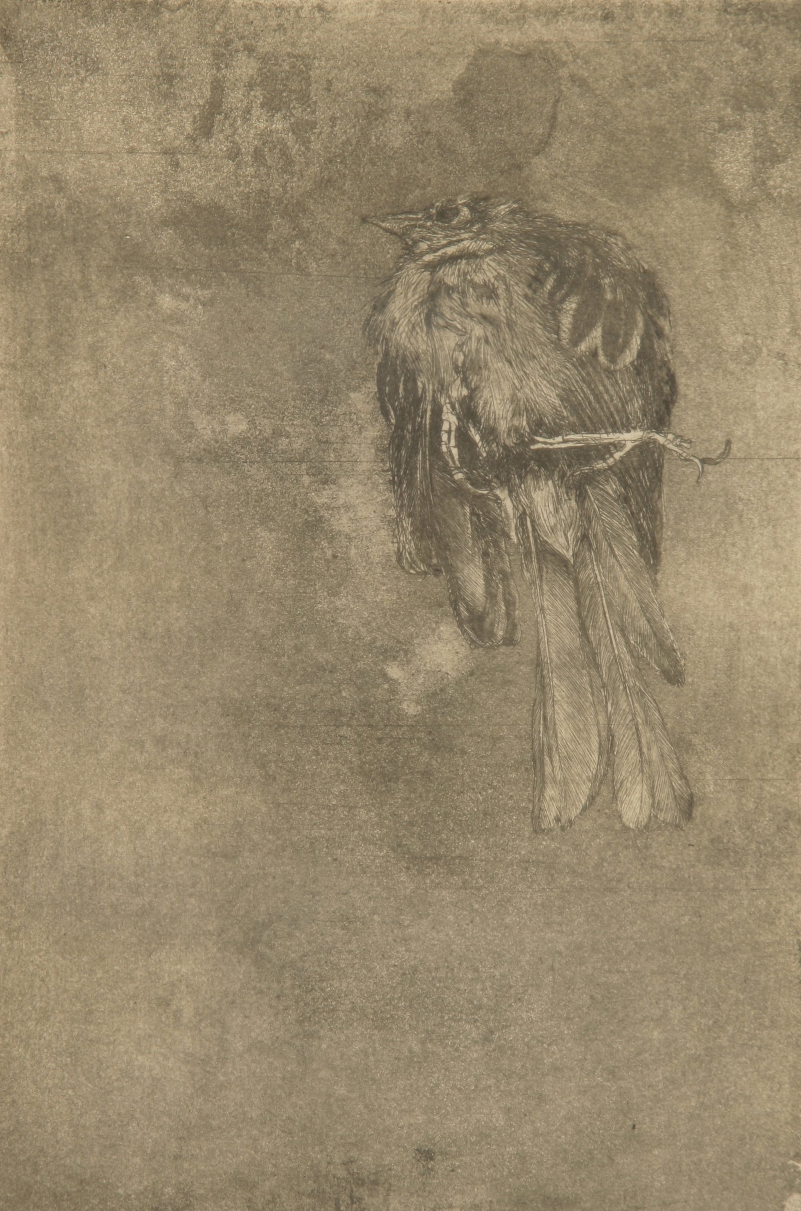 Don de Mauro (American, b. 1936): "Untitled" - Edition 5/100; n.d.; Etching; 8.75" x 5.75"; Signed "De Mauro" Lower Right; Framed (under glass).