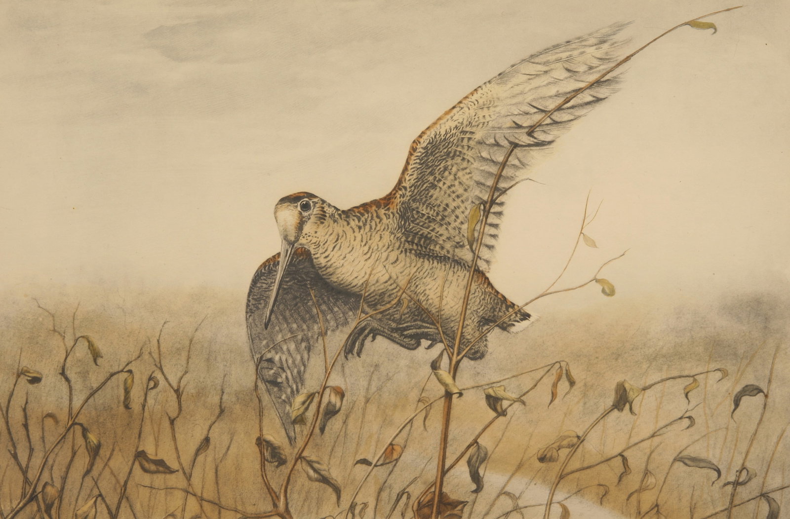 Leon Danchin (French, 1887 - 1938): "Woodcock in Flight"; n.d.; Lithograph; 10.75" x 16.5"; Signed "Leon Danchin" Lower Right; Framed (under glass).