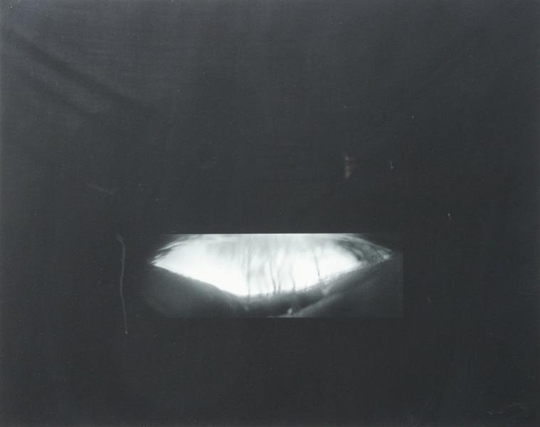 Ann Hamilton (b. 1956): Untitled (From Exit Art Print Portfolio 2001) 2002, Iris Inkjet on Arches Paper, 22" x 30", Signed on Verso, Ed. 45/50 Framed