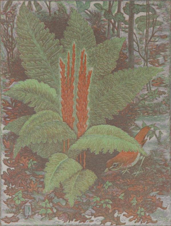 James Dexter Havens (1900-1960): Cinnamon Fern and Veery, 1948, Woodcut/Color Engraving, 8.5" x 6.5", SLR and Monogram in Plate LL, A/P, Unframed