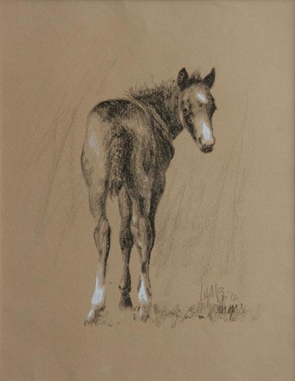 Ralph Lamb (n.d.): Looking Back, 1972, Charcoal and Conte on Paper, 10" x 8", SLR, Unframed. Newman Galleries label on verso.