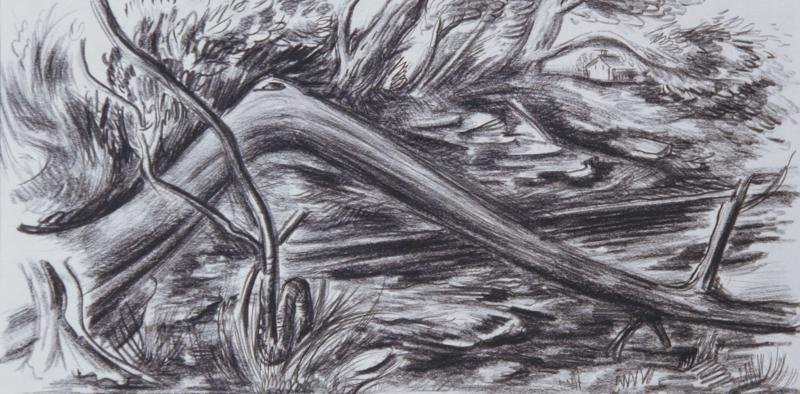 Charles Rosen (1878-1950): Fallen Branch, c. 1940, Charcoal on Paper, 7.5" x 14", SLR, Unframed. Woodstock, NY.