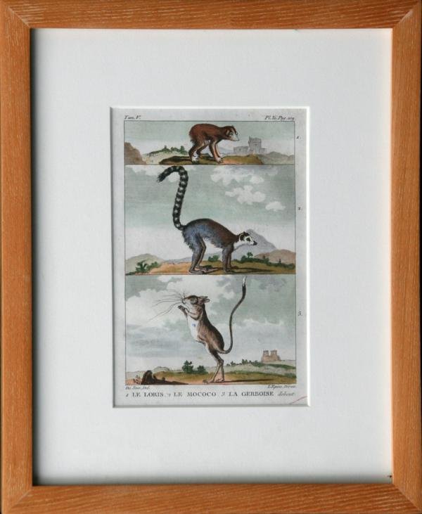 Unknown French (1 of 4)