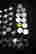 item-134391797=5