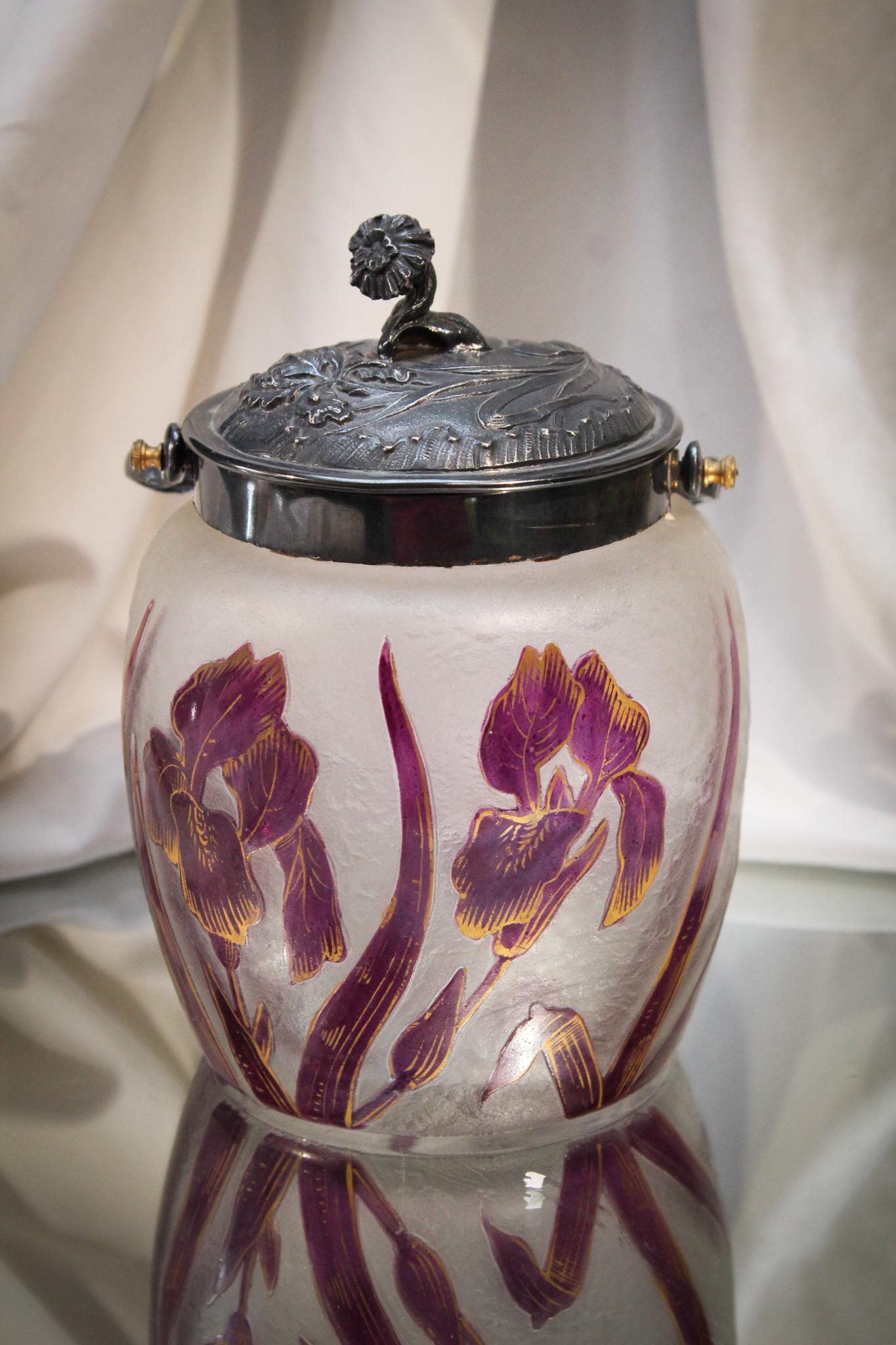 French Cameo Glass Floral Decorated Biscuit Jar (1 of 9)