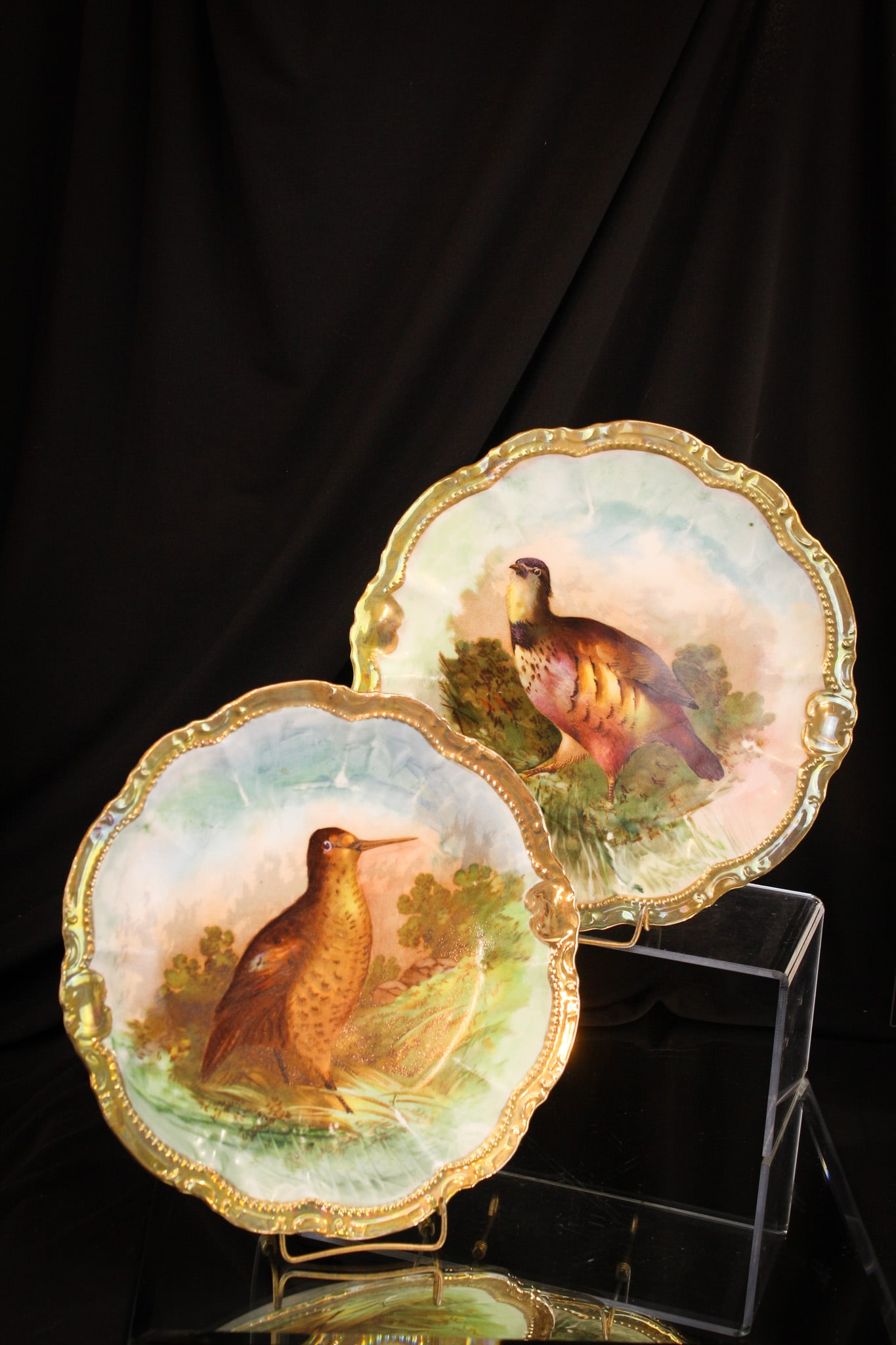 2 pc Lot Bavarian Hand Painted Porcelain Game Plates Kiwi & Grouse (1 of 9)