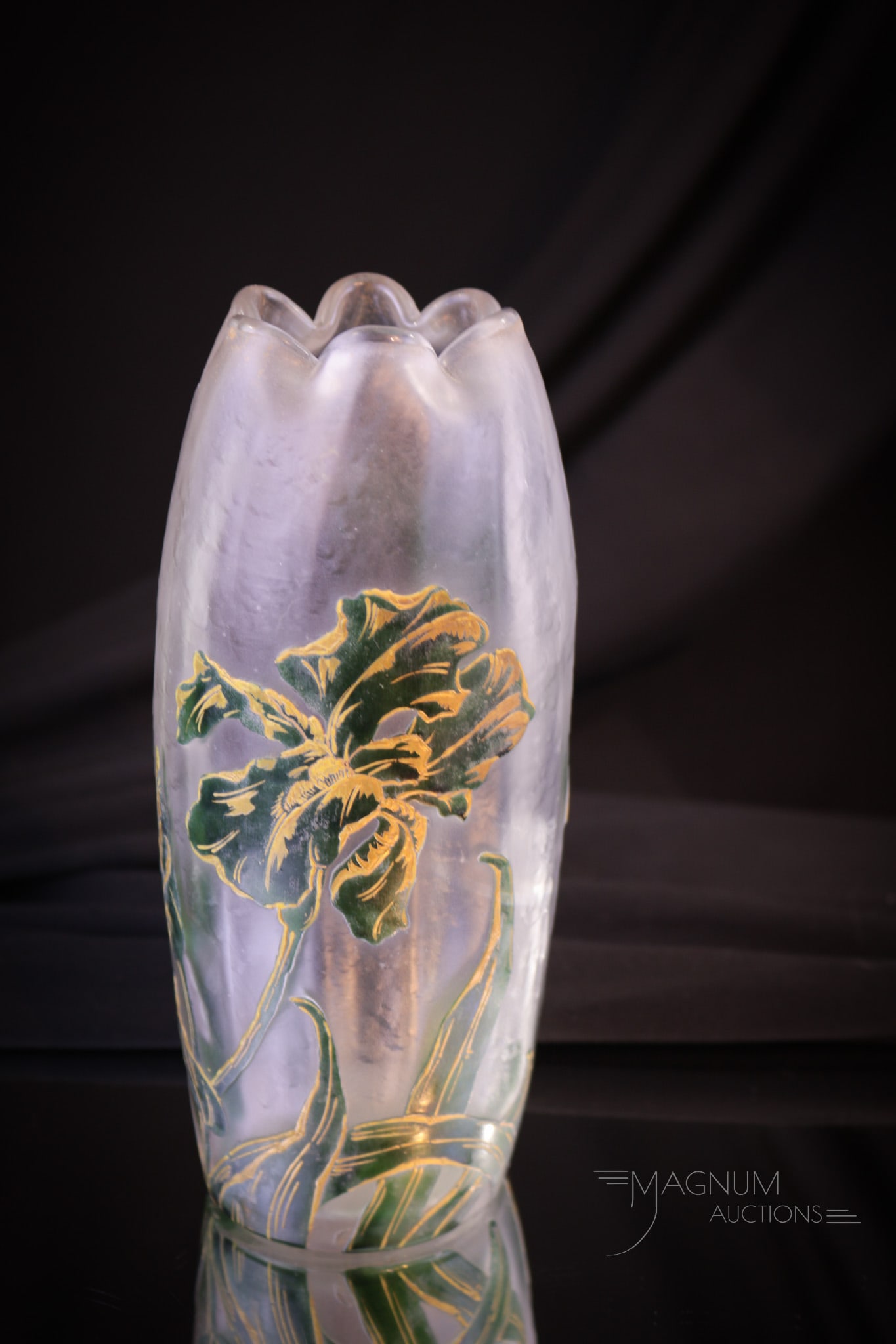 Legras Mt. Joye Enameled Cameo Glass Dragonfly Vase (1 of 4)