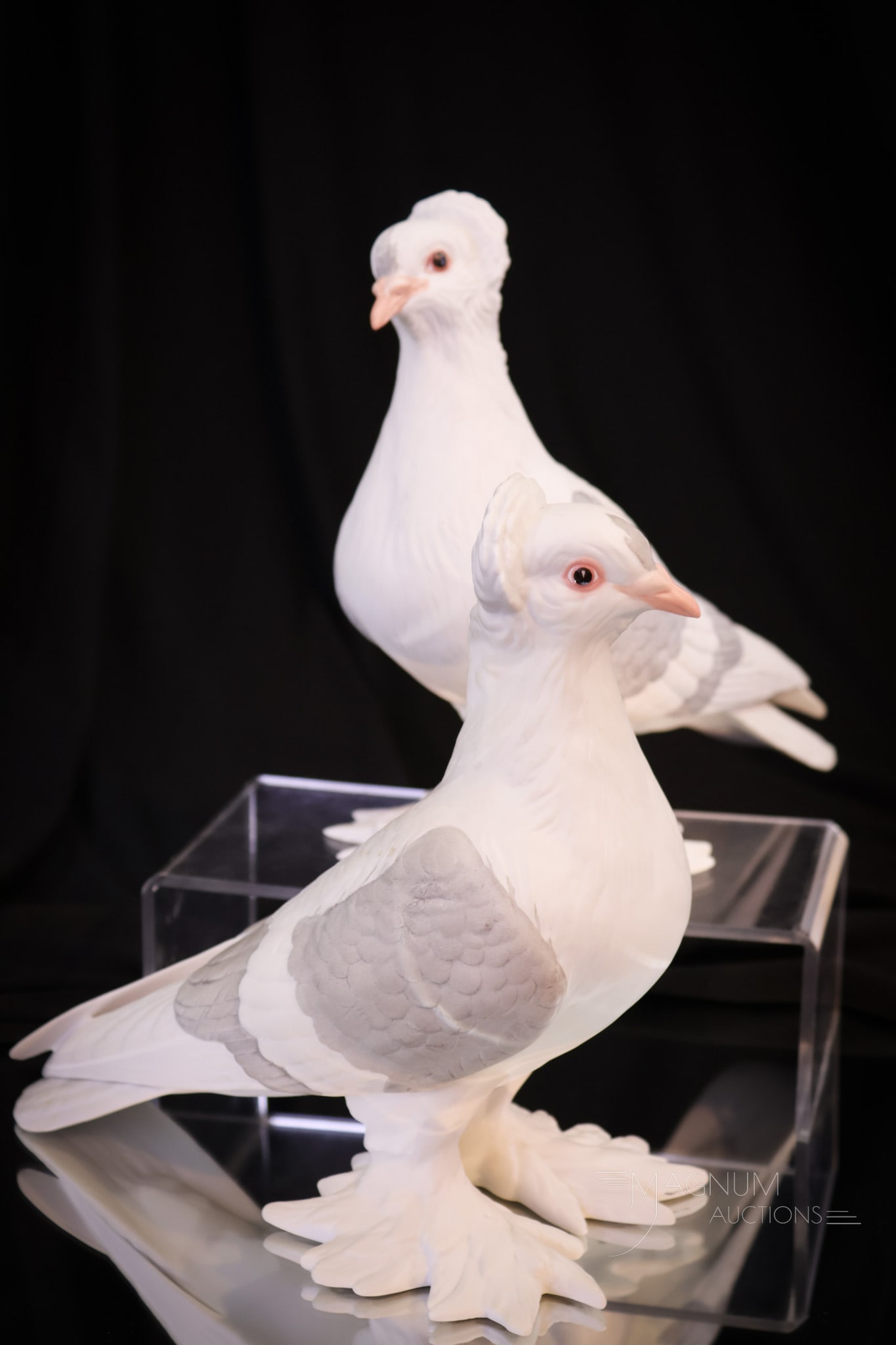 Pair of 8" Boehm Porcelain Tumbler Pigeons: Wonderful pair of Boehm porcelain tumbler pigeon figurines. These are beautiful and well-decorated. Charming called. Are you going to answer? The tallest of the pair measures 8".