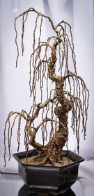 Brutalist 25" Bovano Gilt Bronze Weeping Willow Bonsai Tree