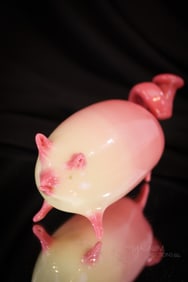 Rare Curled Tail Webb Burmese Victorian Pig Whimsy