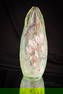 Signed Early Galle' Green Vaseline Uranium Cameo Enameled Glass 9"