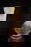 item-206406902=1