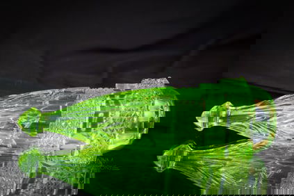 Vaseline Uranium Green Shiner Glass Car Vase