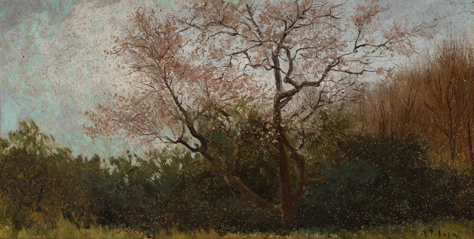 AURELI TOLOSA Y ALSINA (Barcelona, 1861 - 1938). "Wooded landscape".  Oil on cardboard.  Signed in (1 of 4)
