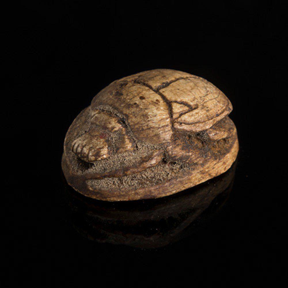 Scarab in the name of Amenophis III of Ancient Egypt, New Kingdom, 1390-1352 BC. (1 of 3)