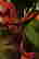 item-137279644=3