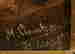 item-137279673=2