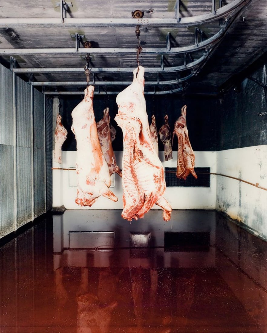 PER BARCLAY (Oslo, 1955). "The slaughter house", 1996. Type C photograph of the installation: PER BARCLAY (Oslo, 1955). "The slaughter house", 1996. Type C photograph of the installation created. Provenance: private collection. Formerly Oliva Arauna Gallery (Inver-Kalis SA). Measurements: 205