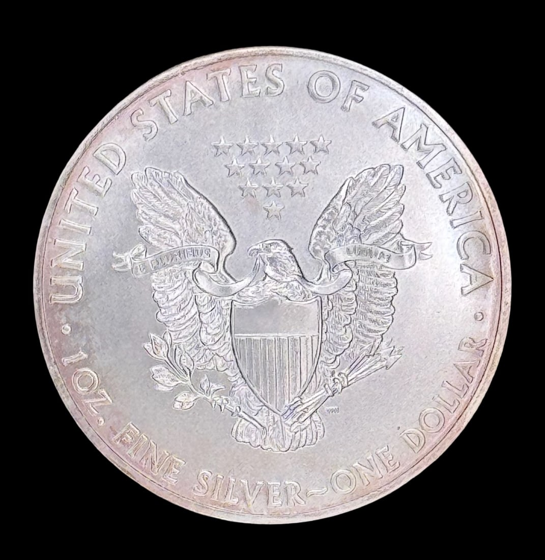 2015 One Dollar Silver Eagle - 2