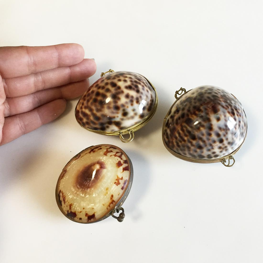 3 Shell trinket boxes with clasps (1 of 4)