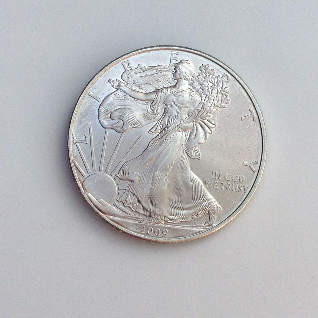 2009 US silver Eagle Liberty One dollar bullion coin (1 of 2)