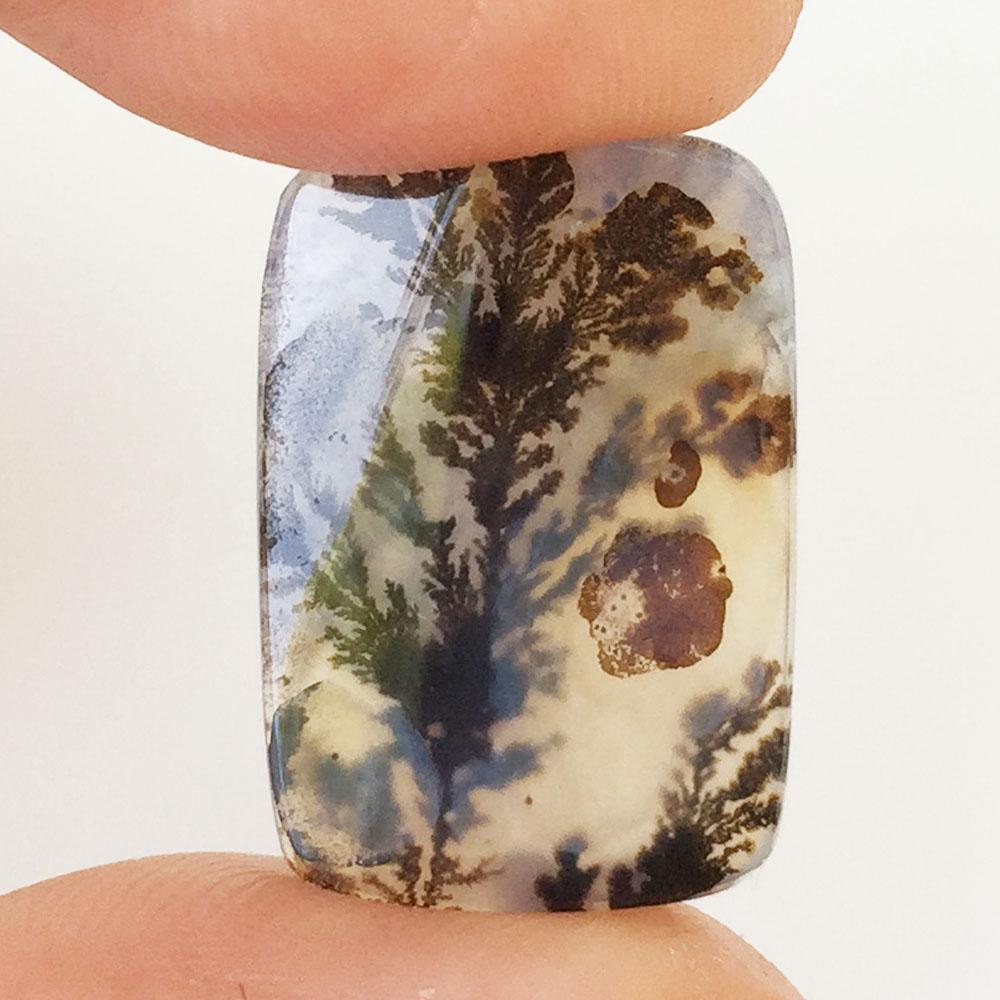 Rectangular natural flat Shazar Dendrite Agate 5.99 cts (1 of 3)
