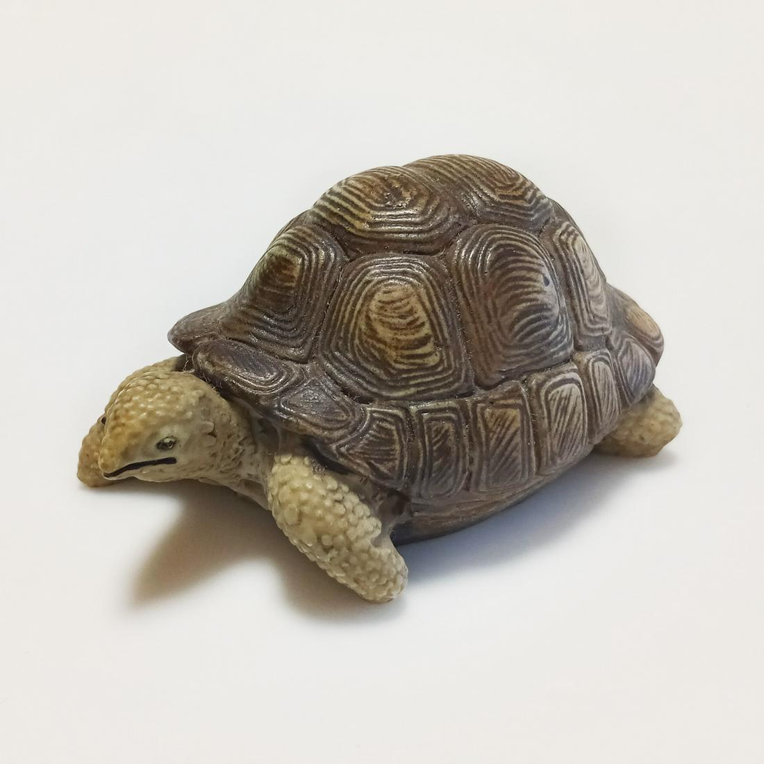 Turtle tortoise figurine (1 of 7)
