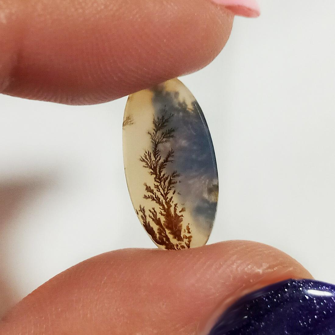 Oval shape natural Dendrite Agate flat cab, 2.63 cts (1 of 4)
