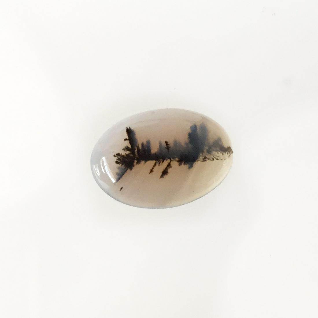 Oval shape natural Dendrite Agate cabochon, 6.00 cts (1 of 4)
