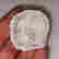 item-131180325=2