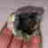item-131180336=2