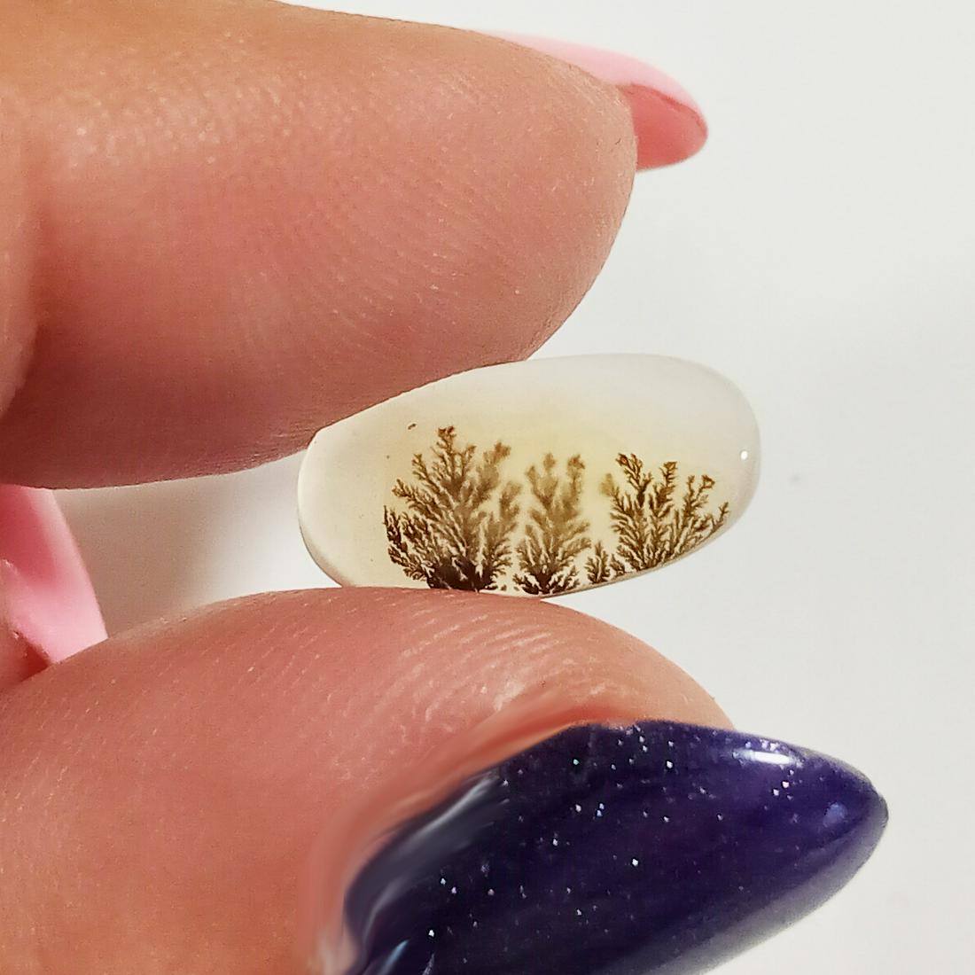 Oval shape natural Dendrite Agate flat cab, 2.40 cts (1 of 3)