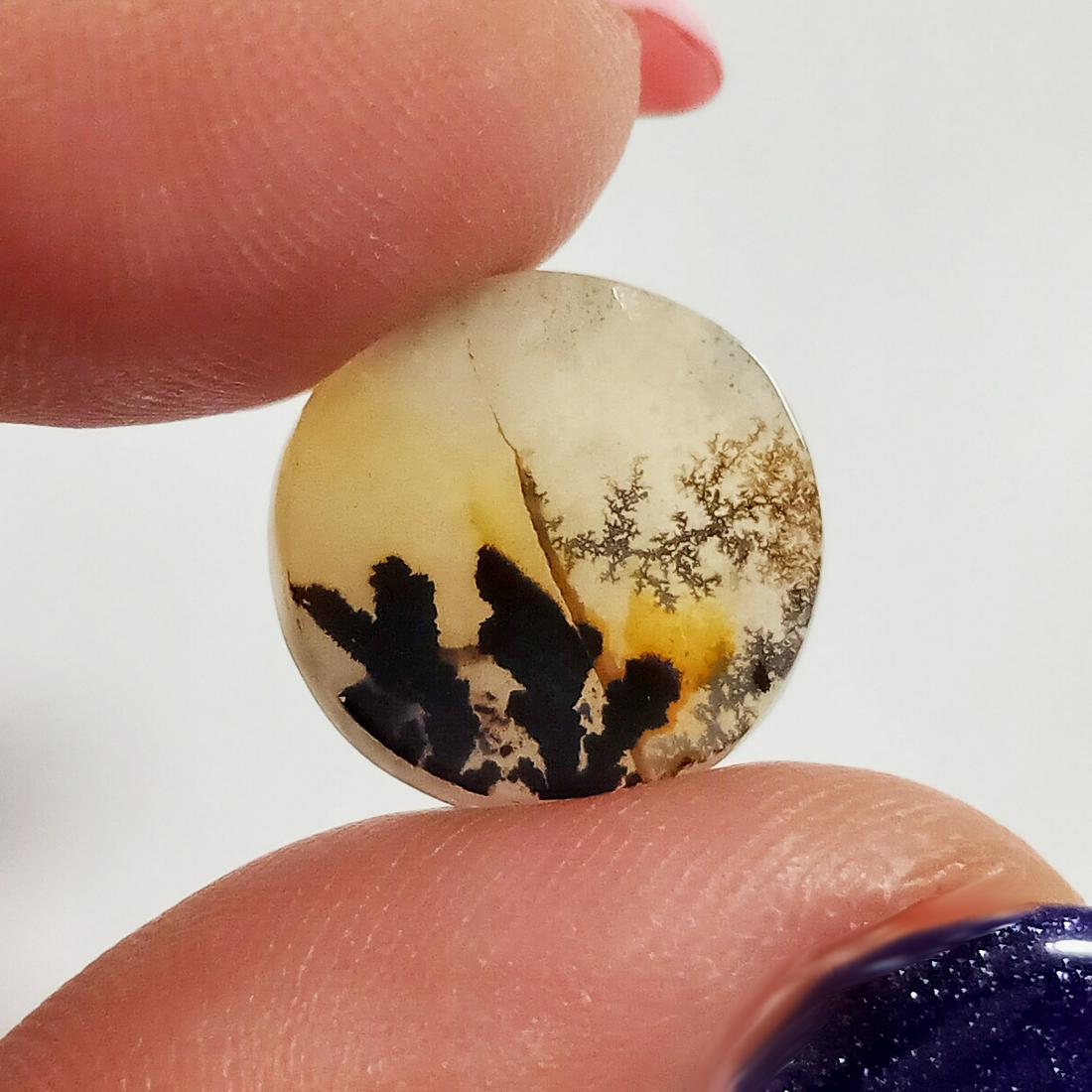 Round shape natural Dendrite Agate flat cab, 3.65 cts (1 of 4)