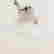 item-137138814=3