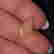 item-137139589=6