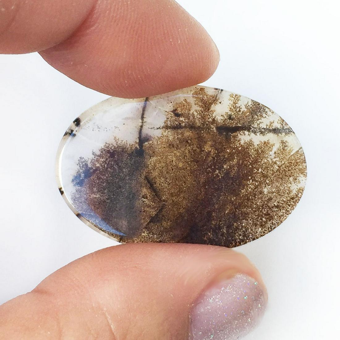 Oval natural Shazar Dendrite Agate flat stone 10.92 cts (1 of 4)