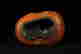item-105477751=7