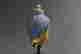item-105477757=4