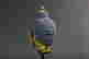 item-105477757=5
