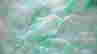 item-107221039=5